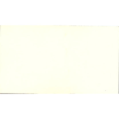 Rostex Crane & Constructors Inc Ross King Jr Pasadena TX Business Card SC9-B1