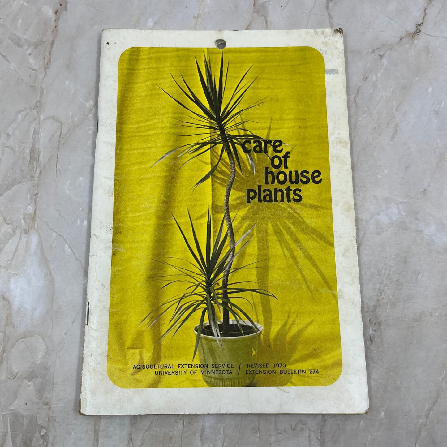 1970 Care of House Plants Magazine University of Minnesota Bulletin TD5