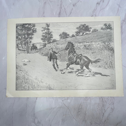 Woah There - Spooked Horse - Original 1904 A.B. Frost Art Print V14-3