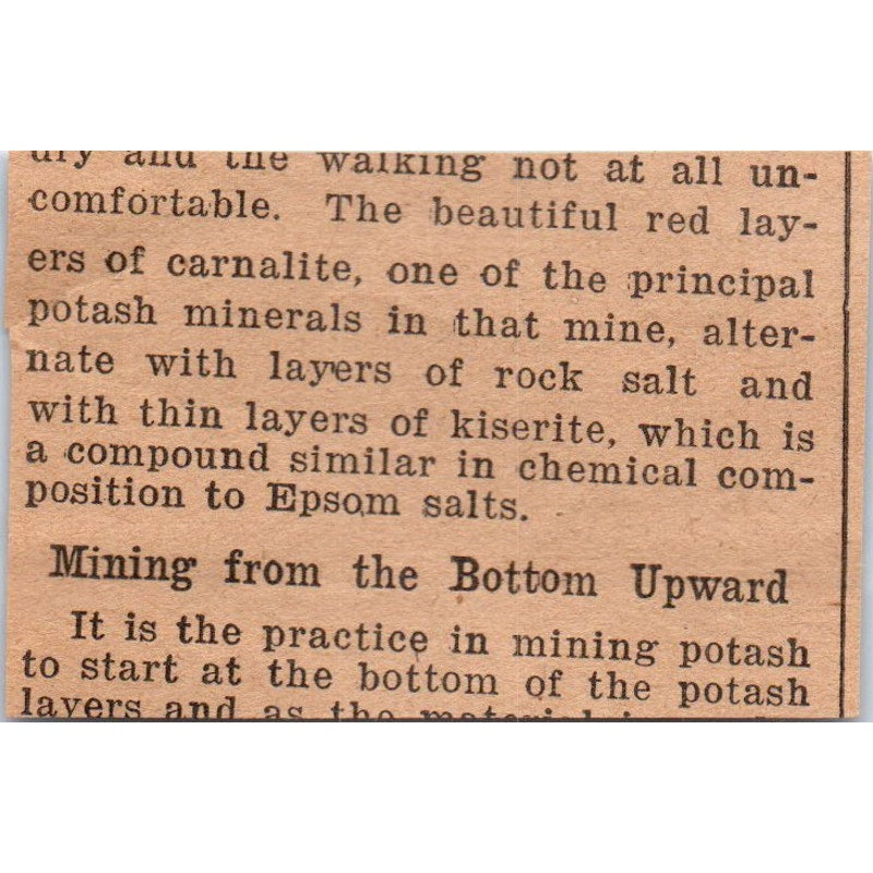 Baby Chicks J. Krejci Cleveland Ohio 1922 Magazine Ad AF2-S8