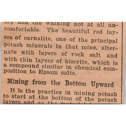 Baby Chicks J. Krejci Cleveland Ohio 1922 Magazine Ad AF2-S8