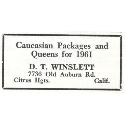 Caucasian Bees and Queens D.T. Winslett Citrus Heights CA 1961 Ad AB6-S13