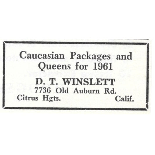 Caucasian Bees and Queens D.T. Winslett Citrus Heights CA 1961 Ad AK6-S13