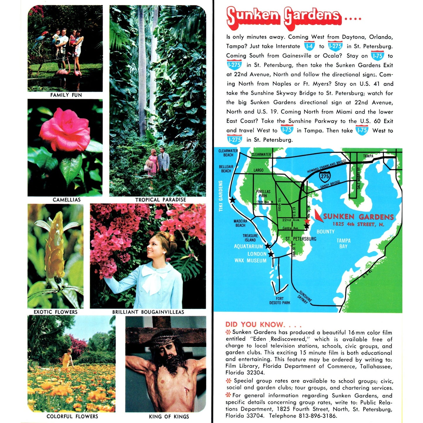 1980s Sunken Gardens St. Petersburg Florida Fold Out Travel Brochure TF4-BA