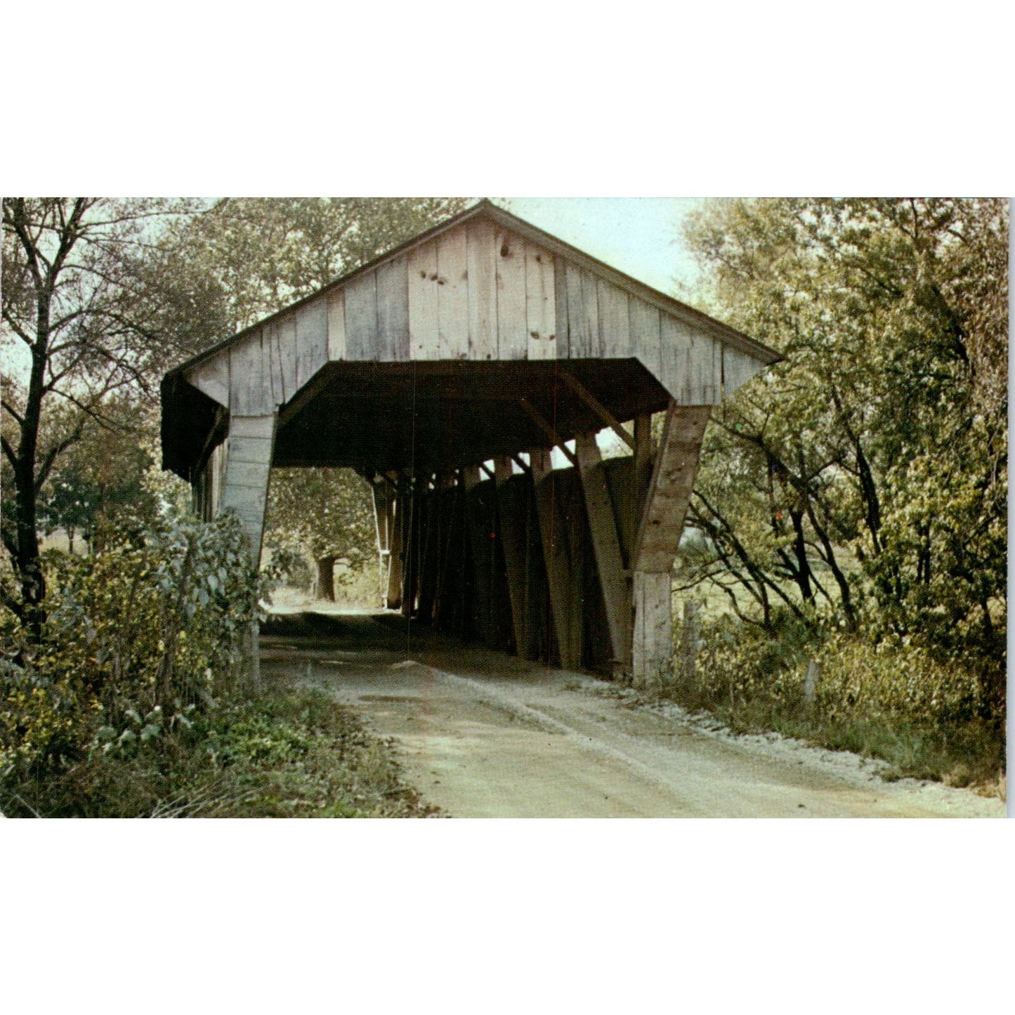 Delaware County Big Walnut Creek Ohio Covered Bridge Postcard PC2