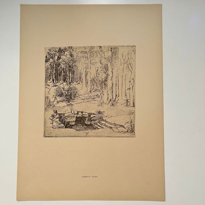 Spring in the Woods - Albrecht Dürer - 1936 Art Print Plate 11.5x15.75" V37-2