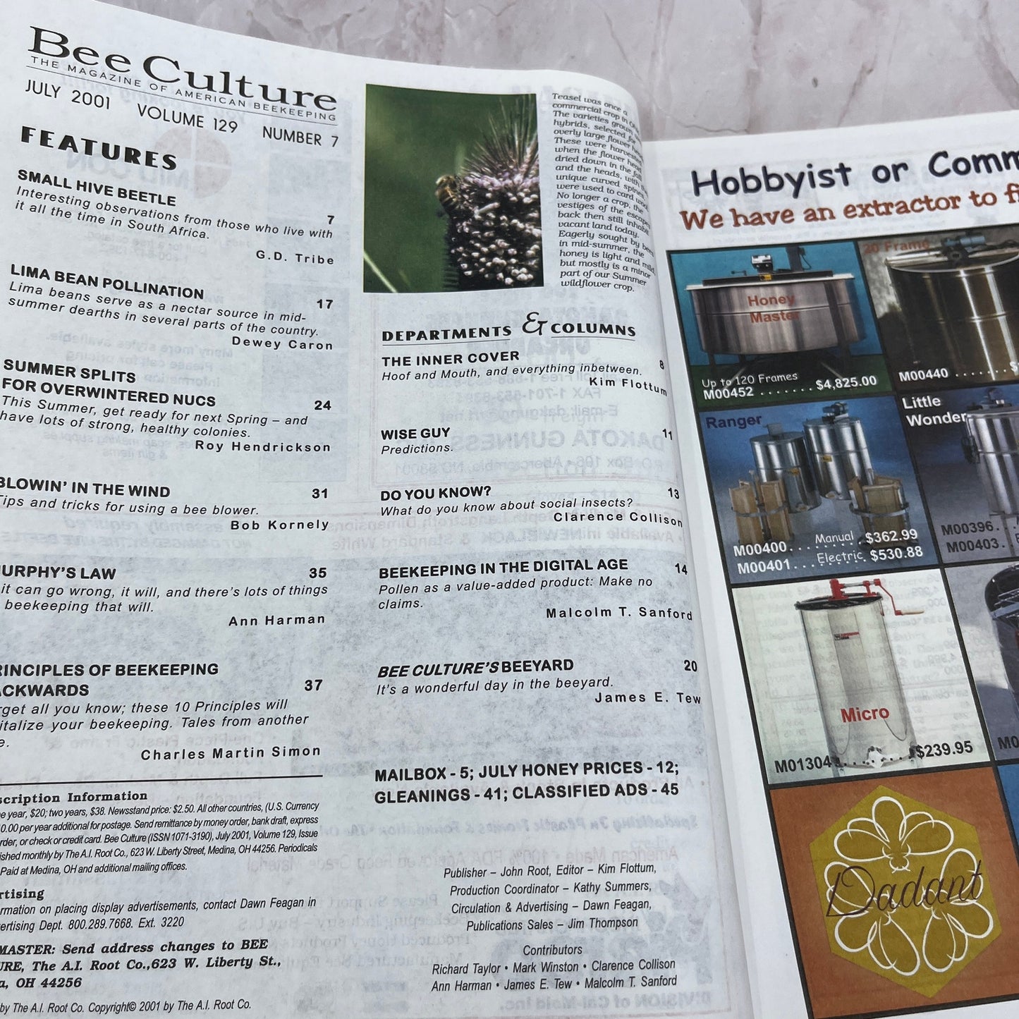 2001 July - Gleanings in Bee Culture Magazine - Bees Beekeeping Honey M32