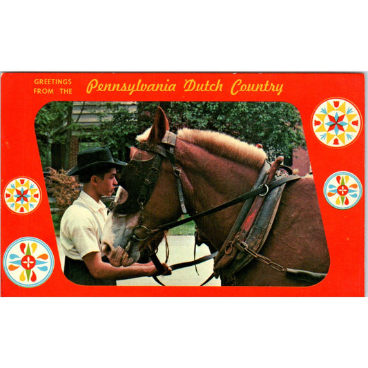 Amish Boy Holds Team of Horses Pennsylvania Dutch Country Postcard PD7