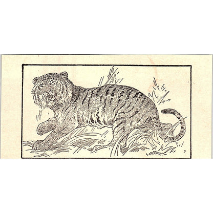 Tiger 1902 Engraving Plate AF4-M1