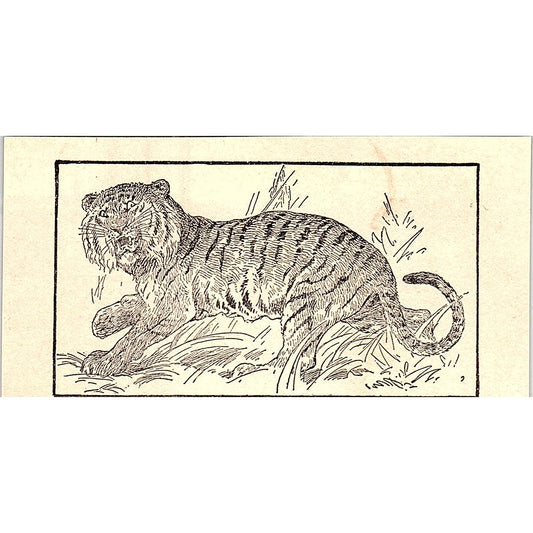 Tiger 1902 Engraving Plate AF4-M1