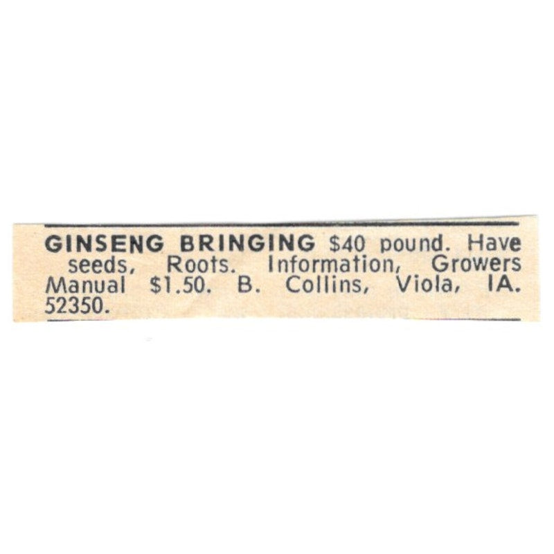 B. Collins Ginseng Viola IA 1977 Ad AF6-S5