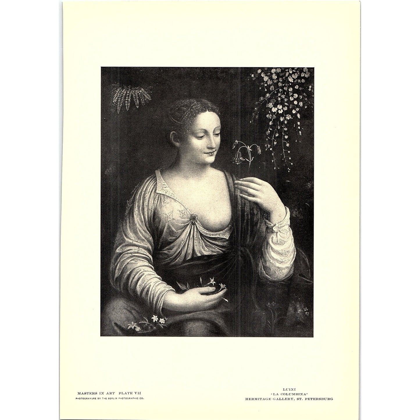 La Colombina - Luini - 1902 Litho Art Print AF4-4