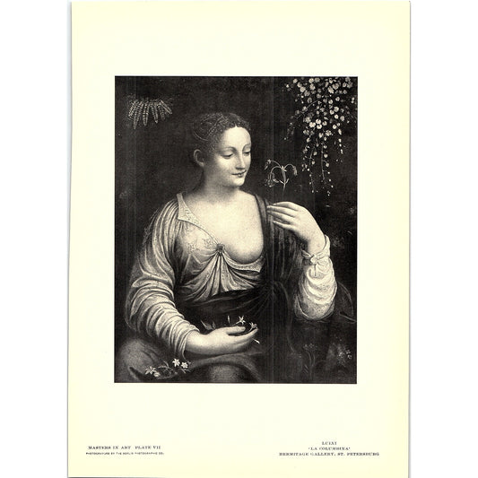La Colombina - Luini - 1902 Litho Art Print AF4-4
