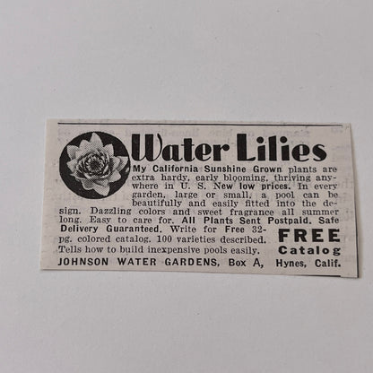 Johnson Water Gardens Water Lilies Hynes CA 1936 Ad SAG4-M4