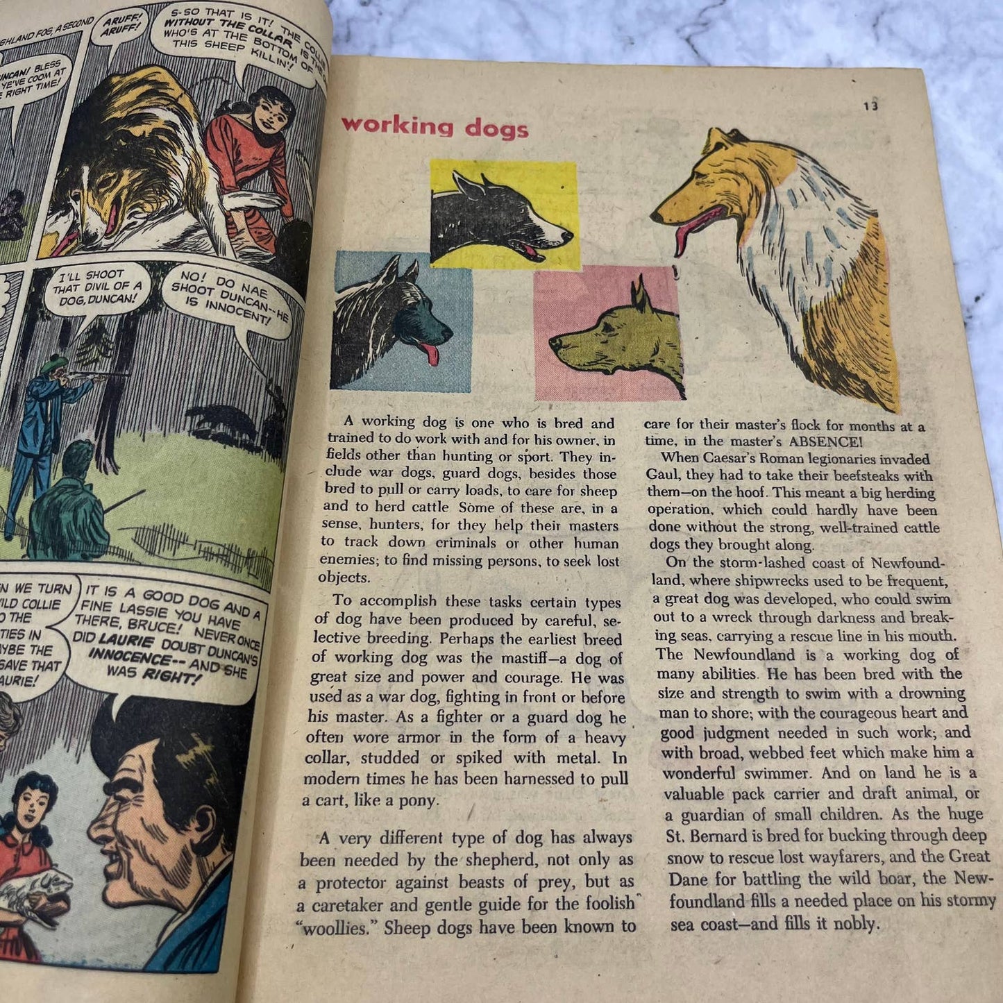 Vintage A Treasury of Dogs Comic Book Dell 1956 TJ3