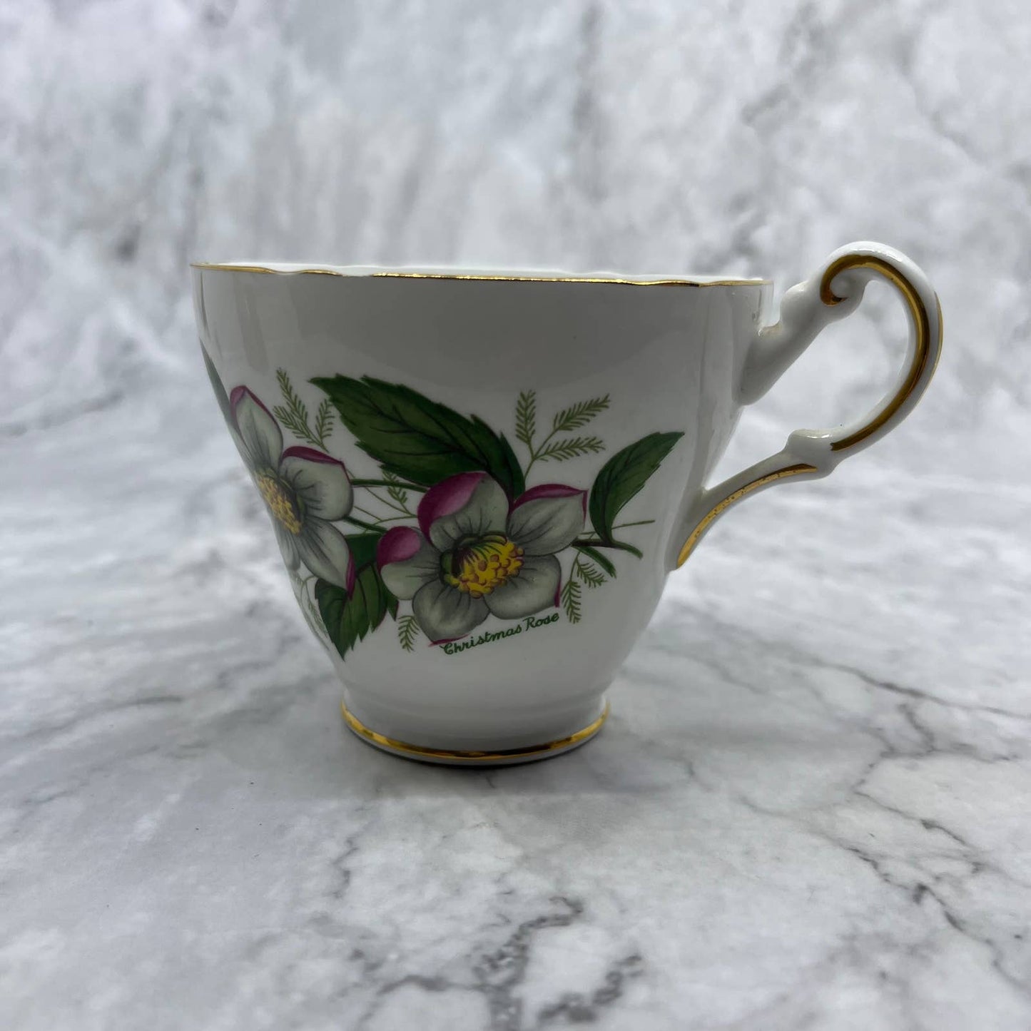 Vintage Regency English Bone China Tea Cup Christmas Rose TA1