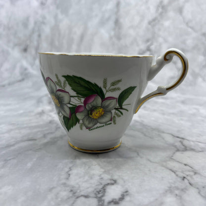 Vintage Regency English Bone China Tea Cup Christmas Rose TA1