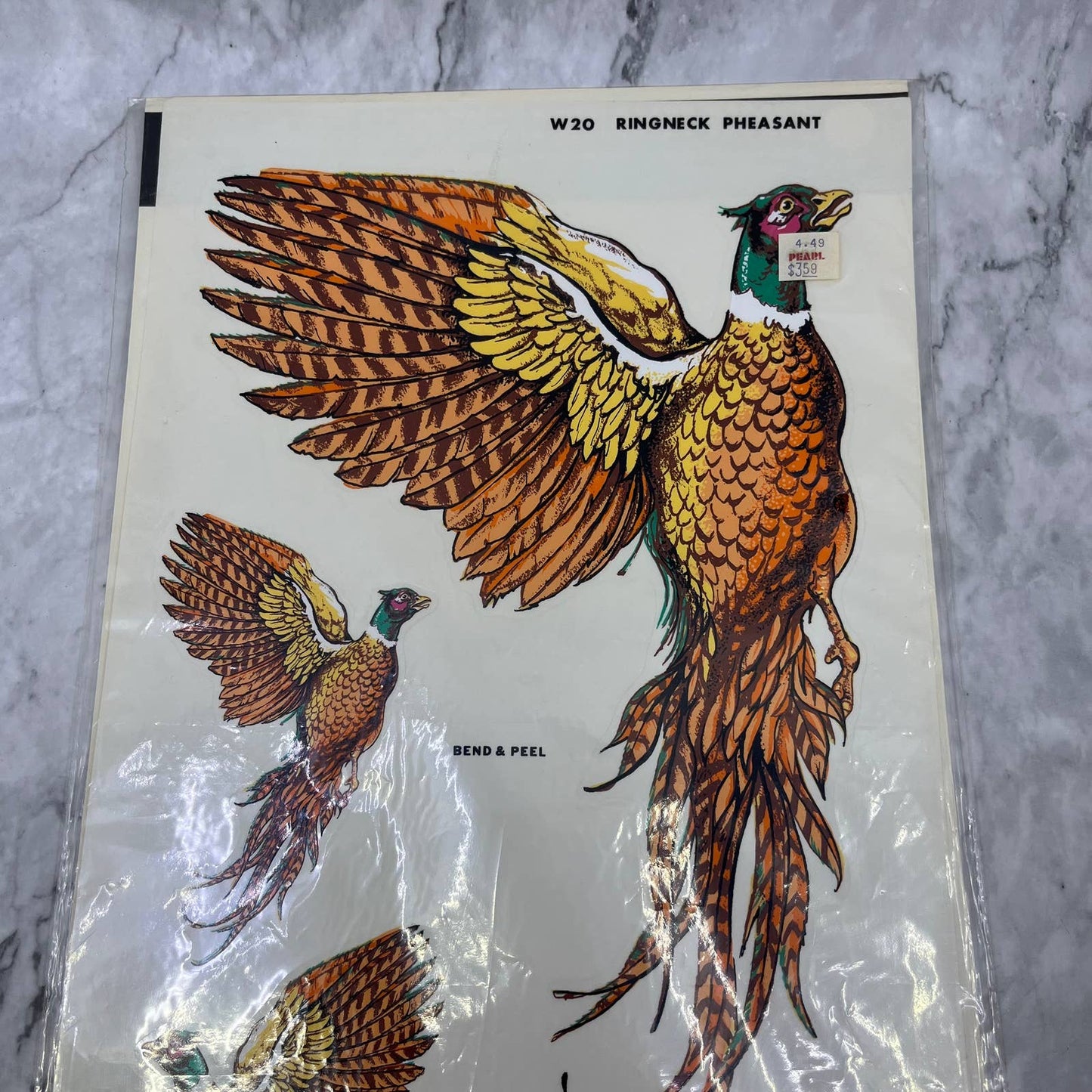 1981 NEW NOS Decorcal Sports & Wildlife Decal W-20 Ringneck Pheasant Hunting FL5