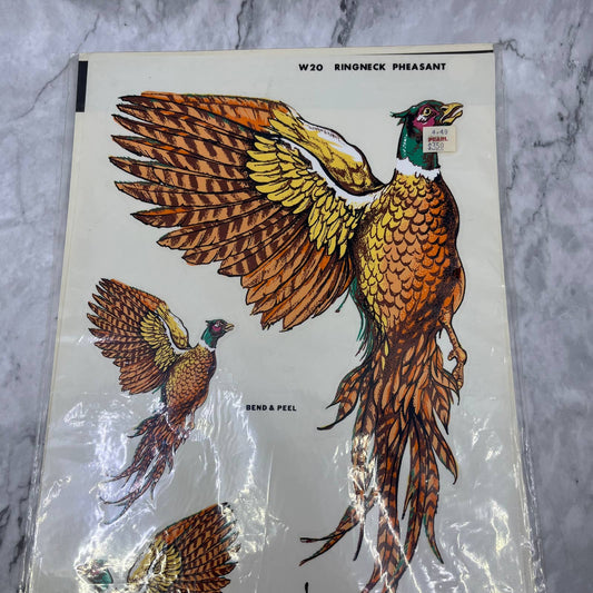 1981 NEW NOS Decorcal Sports & Wildlife Decal W-20 Ringneck Pheasant Hunting FL5