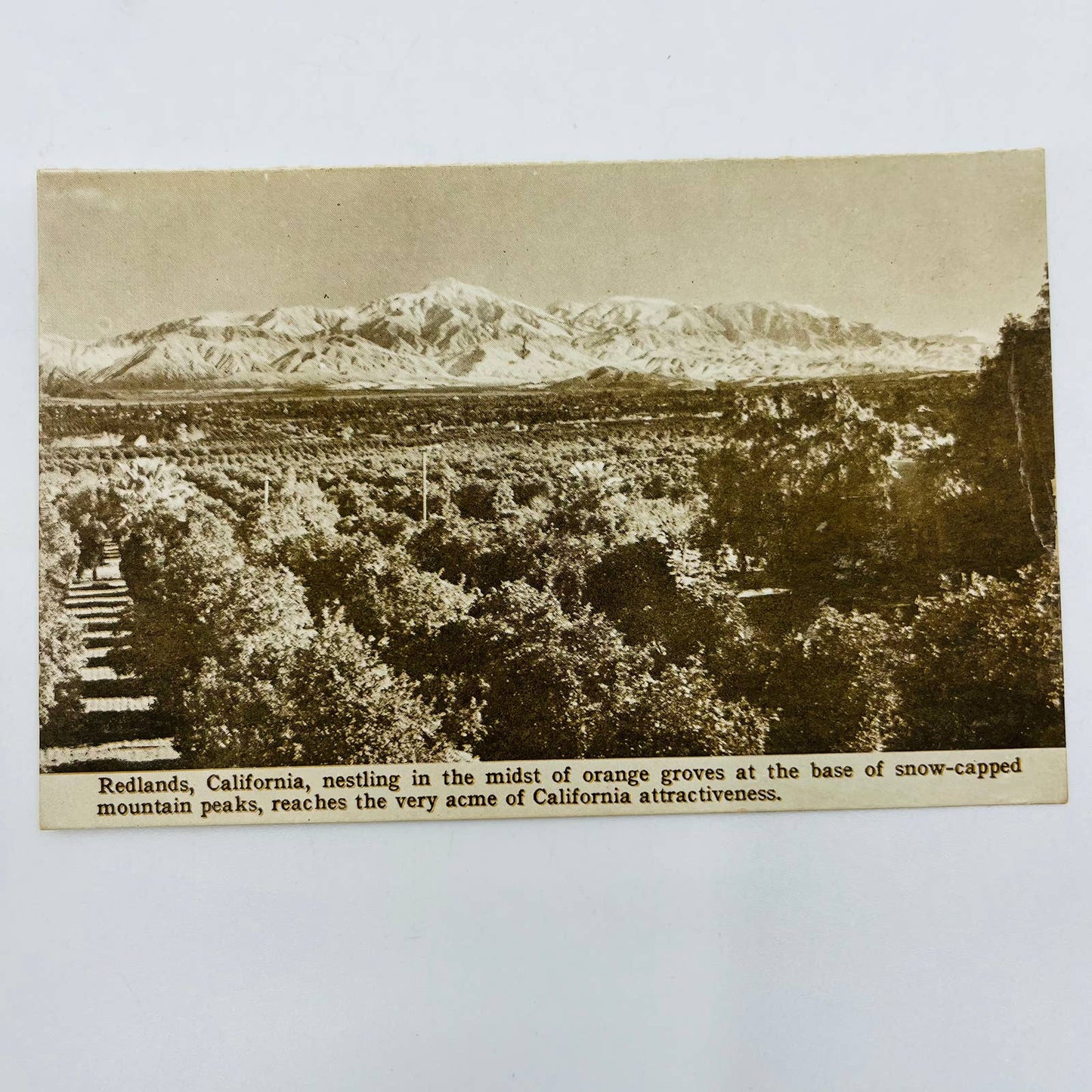 1915 Postcard Redlands California Mountains Panama Pacific Exposition PA8