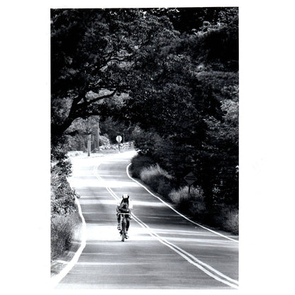 1980s Press Photo Cycling Charles River Biker On Hartford St. in Dover 8x10" AD3