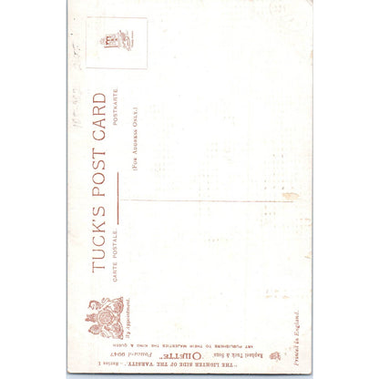 The Lighter Side of the Varsity Raphael Tuck Oilette Original Postcard TK1-P14