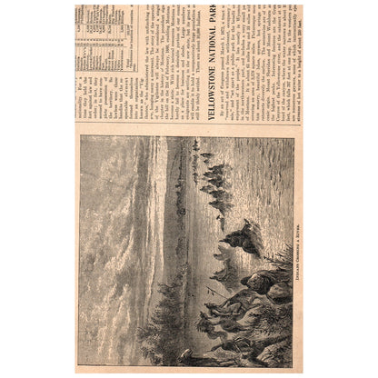 A Colony of Beavers Building Their Habitat 6x9" Original Engraving 1899 AK5-18