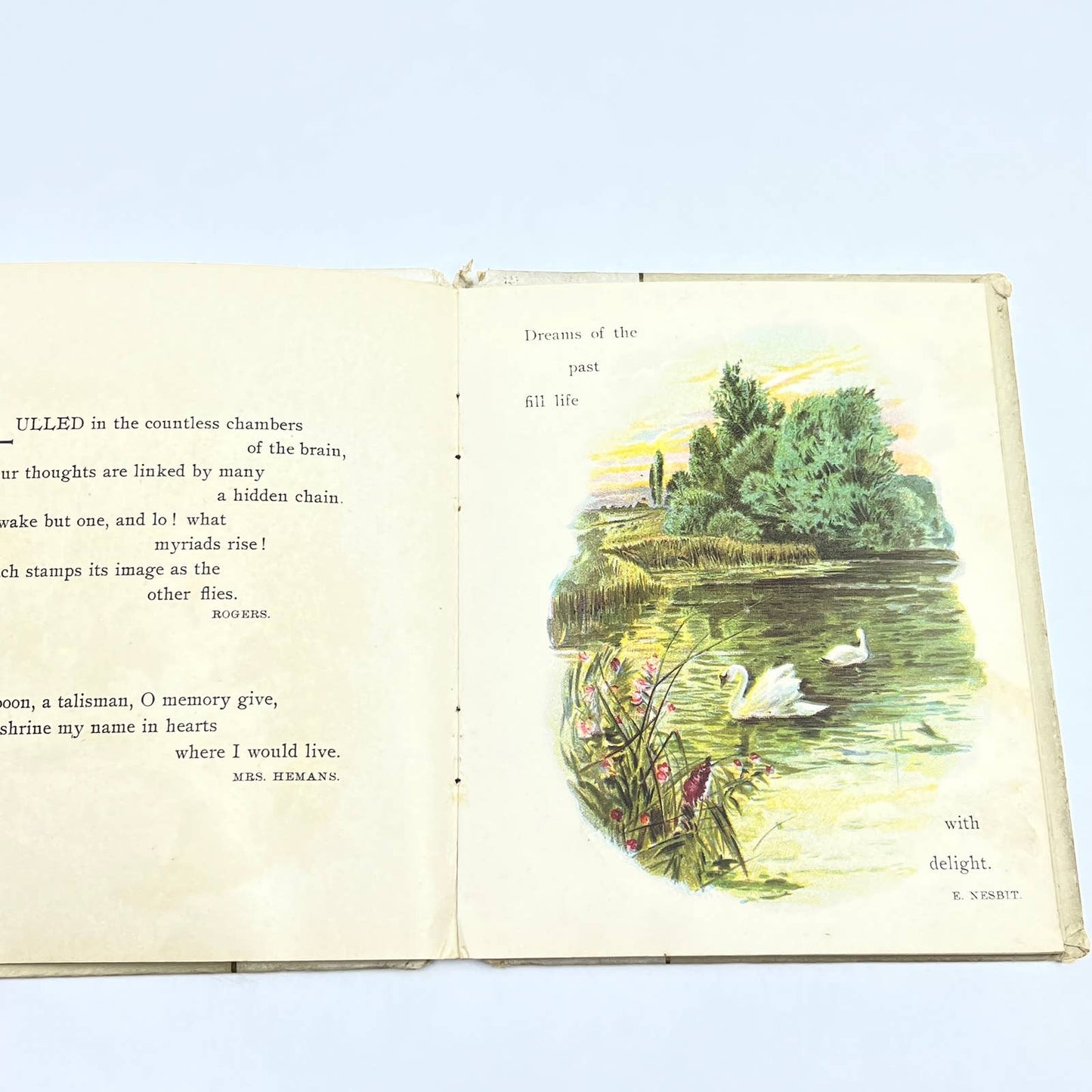 c1900 Links of Memory Victorian Poem Flower Book HC TG2