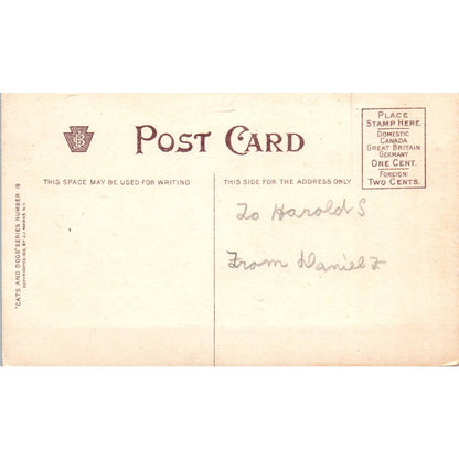 c1910 Comic Postcard A Maltese Cross Dog and Cat Fighting EA3