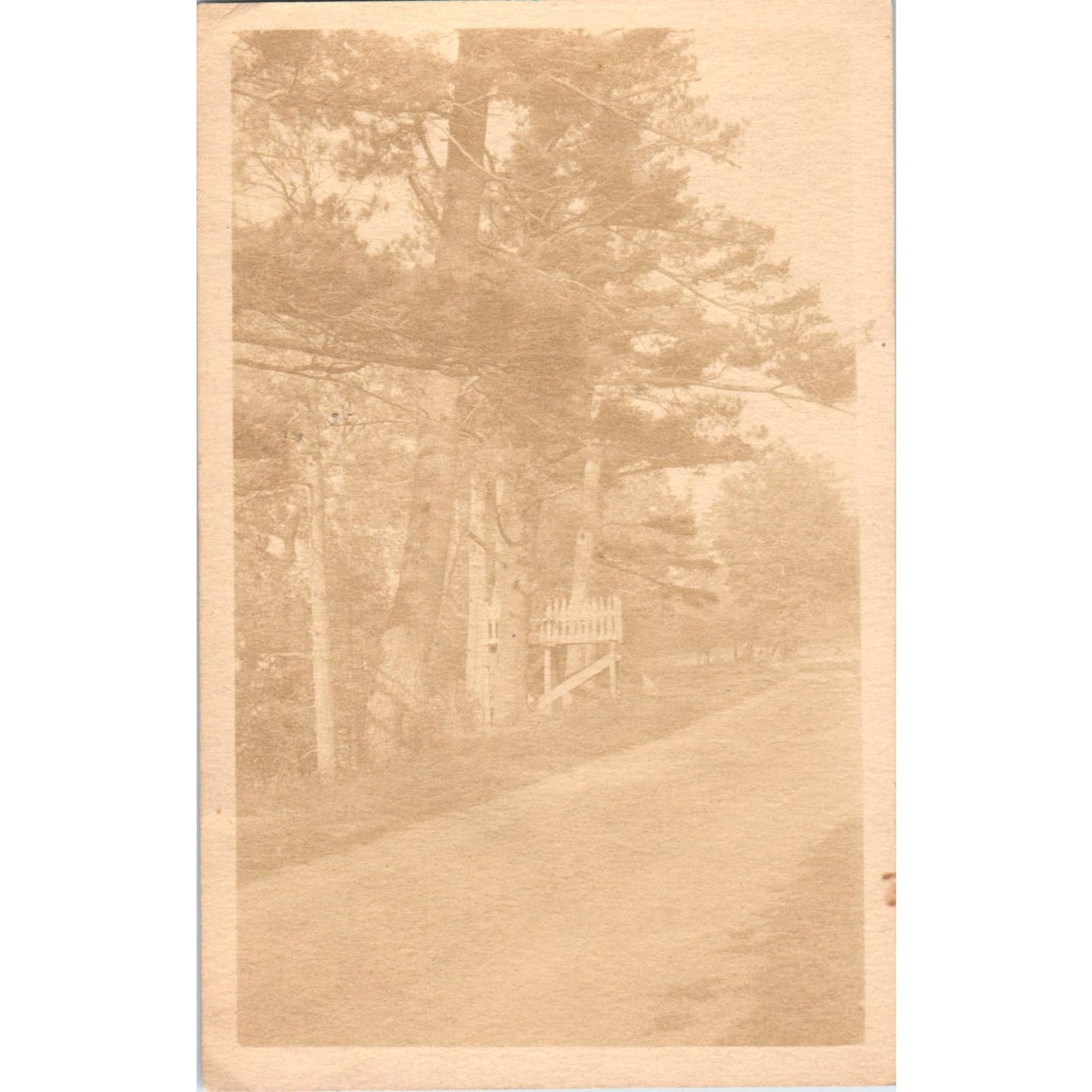 1908 Country Road RPPC Original Postcard TK1-P1