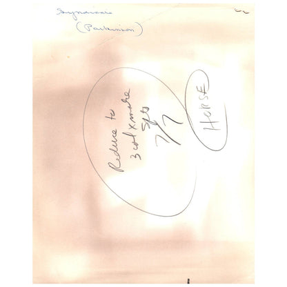 c1960 Original Press Photo Horse & Jockey Harness Racing Unknown Event AE1