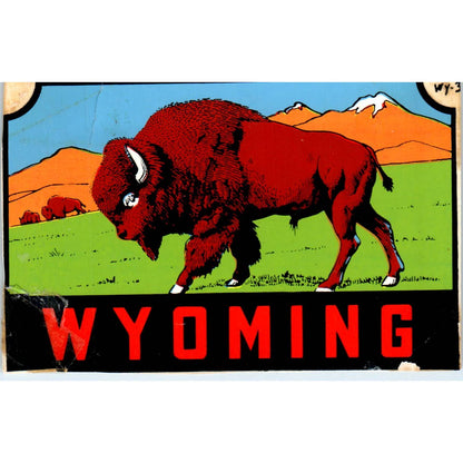 1960s Wyoming Buffalo Souvenir Decal Sticker 2.5x4" SE5