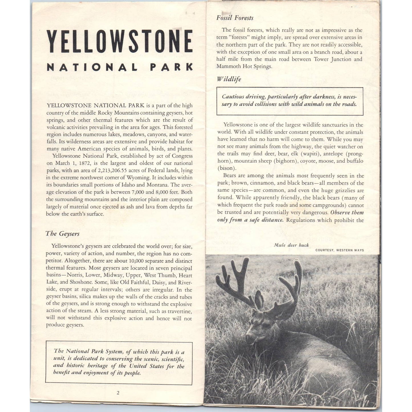 1955 Yellowstone National Park Visitor Information Safety Fold Out Brochure SF3