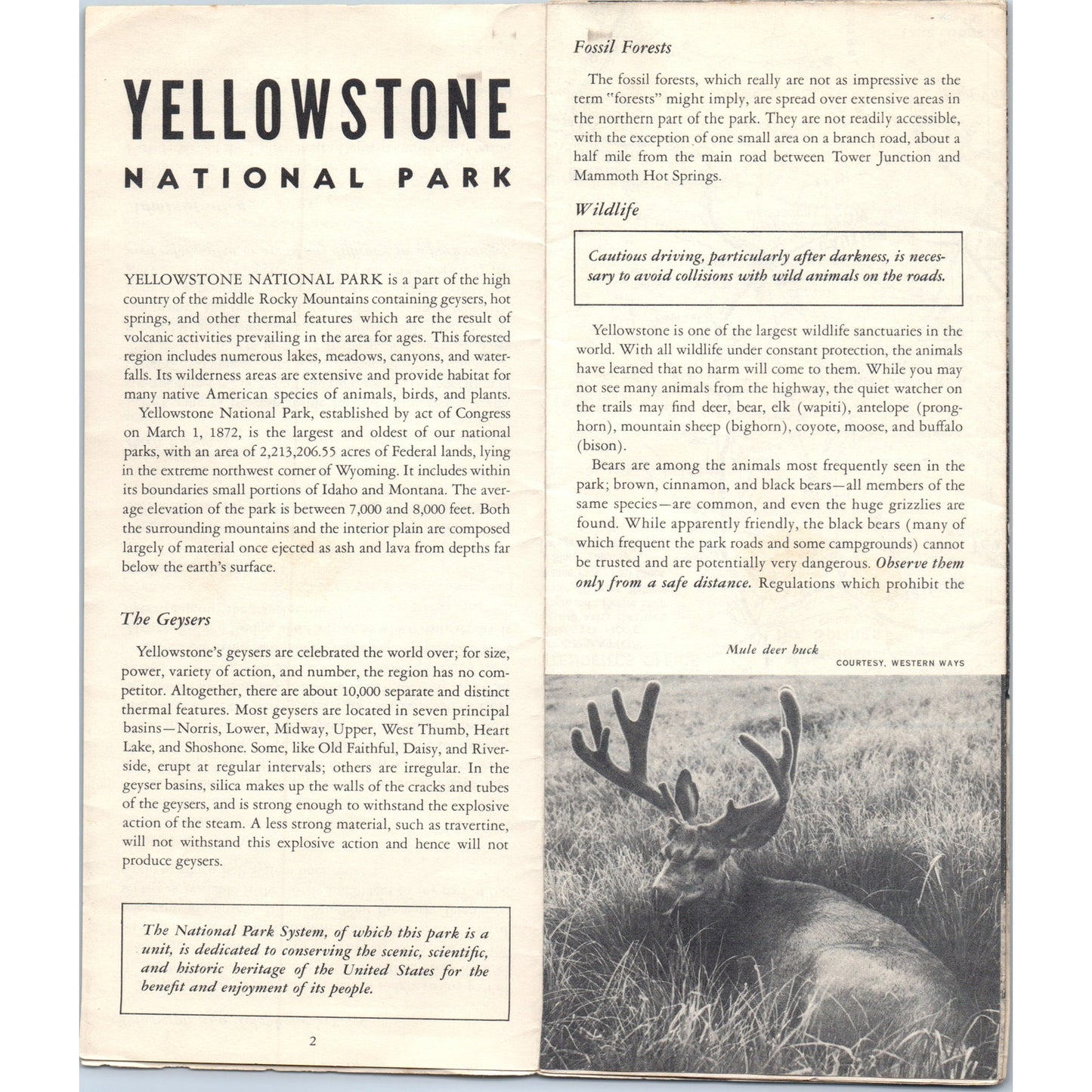 1955 Yellowstone National Park Visitor Info Safety Fold Out Brochure TH2-SF2