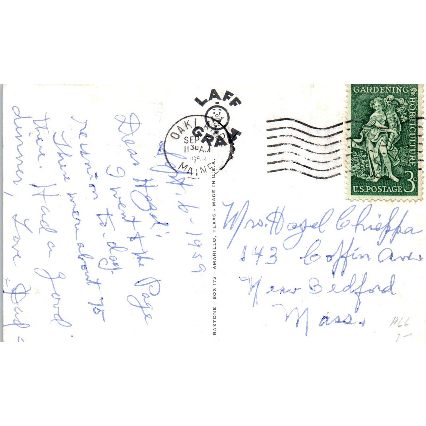 Dog Setter Pointer Outhouse Bathroom Humor Comic Original Postcard TK1-P13