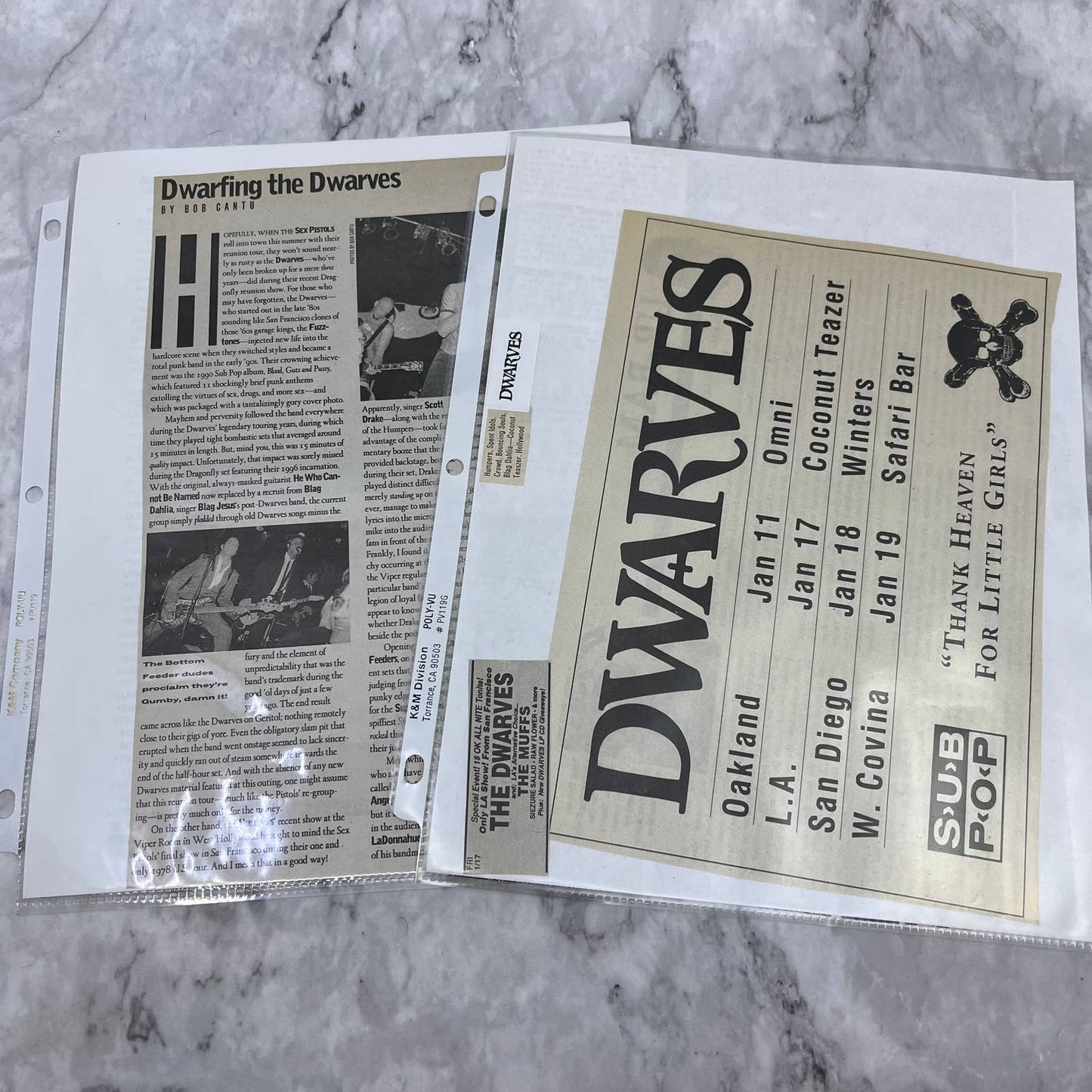 Vintage Dwarves California Indie Rock Fan Ephemera Collection FL5