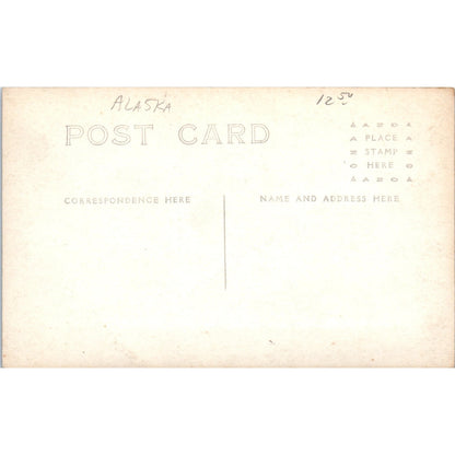Pod of Seals on the Shore of St. Paul Island RPPC Original Postcard P2-6