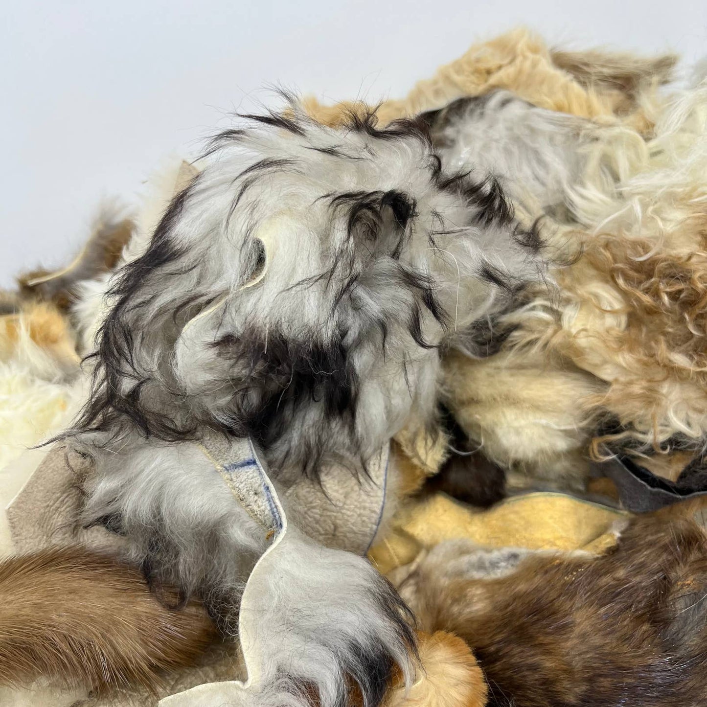HUGE Fur Scrap Lot 2+ Pounds Fox Coyote Beaver Ermine More Craft Remnants FL3
