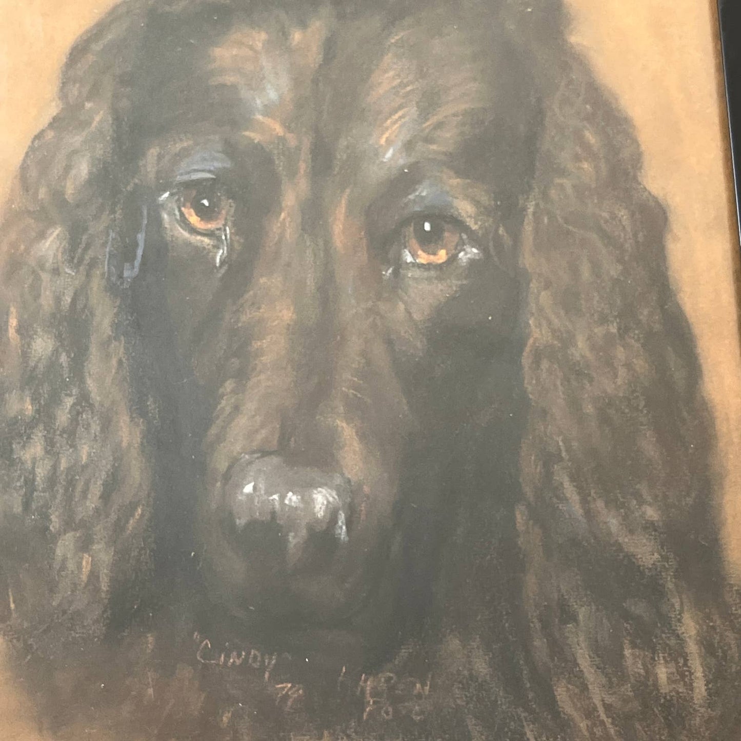 1979 Original Art Spaniel Dog Oil Pastel Framed Signed Karen Rose 17x13"