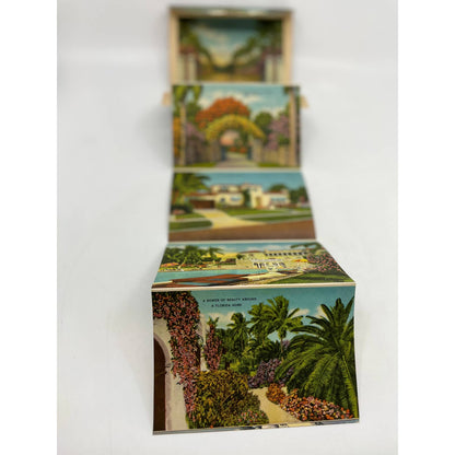 1940s Tropical Florida Fold Out Postcard Souvenir Book EA2