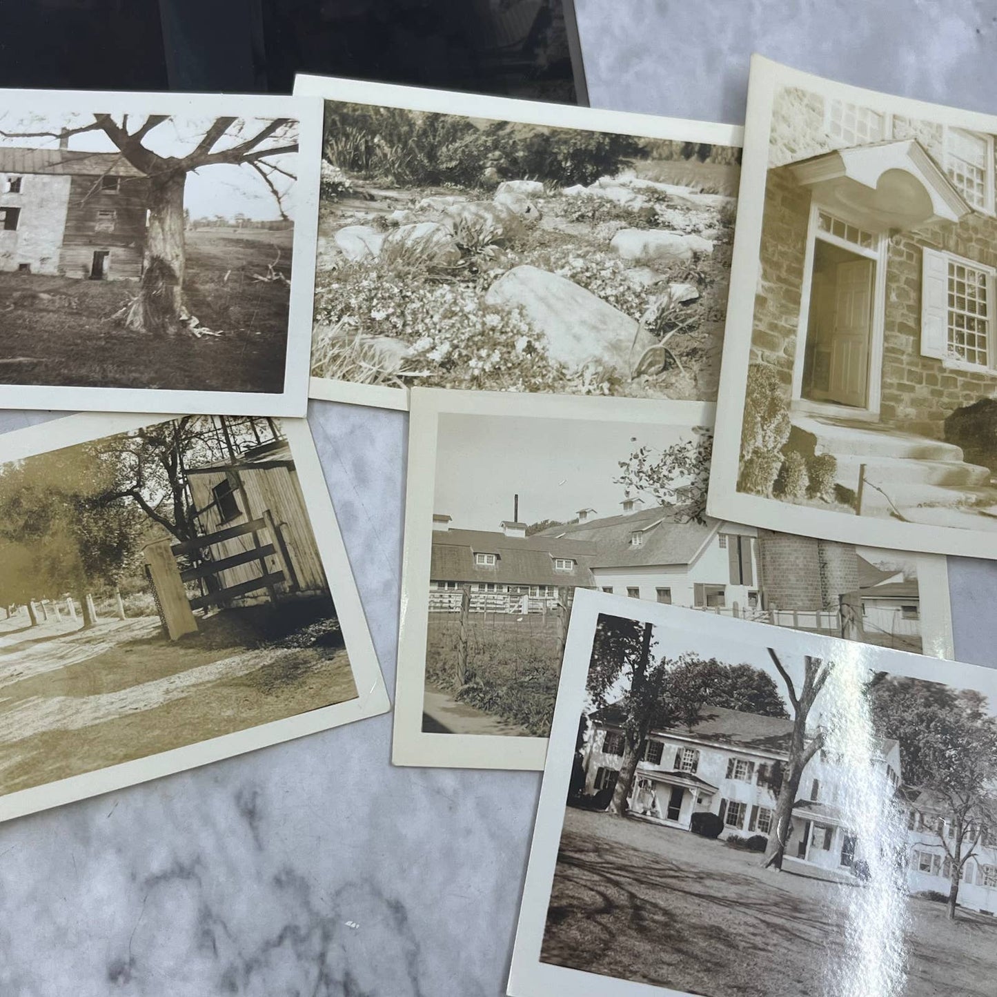 1930s Collection of Photos & Negatives Talhern Farms Paoli PA E.T. Trigg TK1-PL