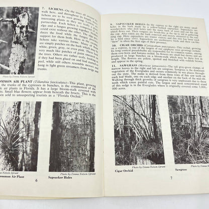 1966 Corkscrew Swamp Sanctuary Self Guided Tour of Boardwalk Immokalee FL TE4