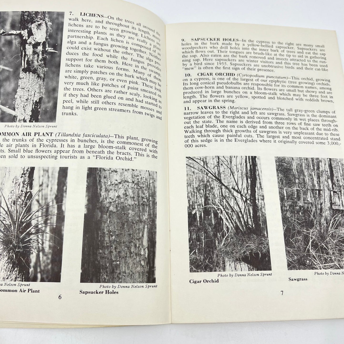 1966 Corkscrew Swamp Sanctuary Self Guided Tour of Boardwalk Immokalee FL L4-6