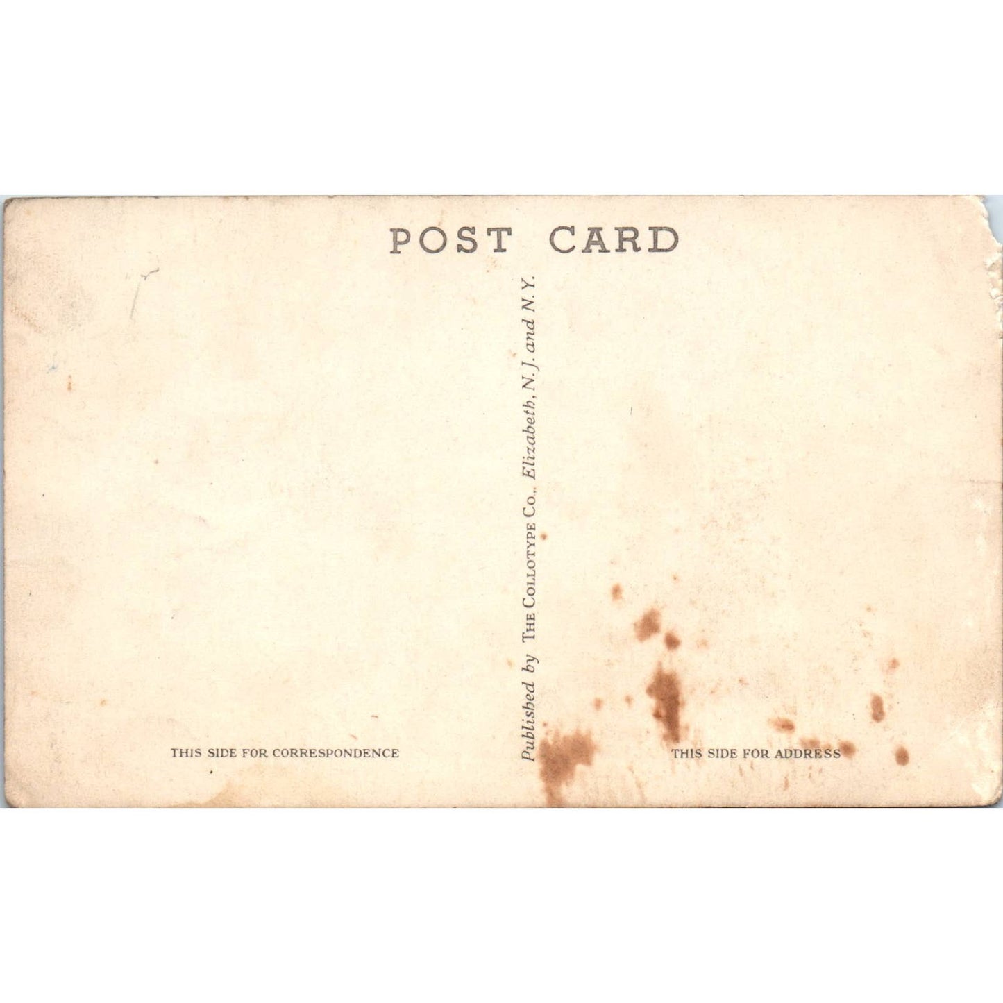 Antique RPPC Postcard United States Lines S.S. Washington SE5