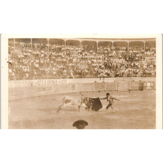 Antique RPPC Postcard Bullfighting Scene Matador and Bull SE8-2