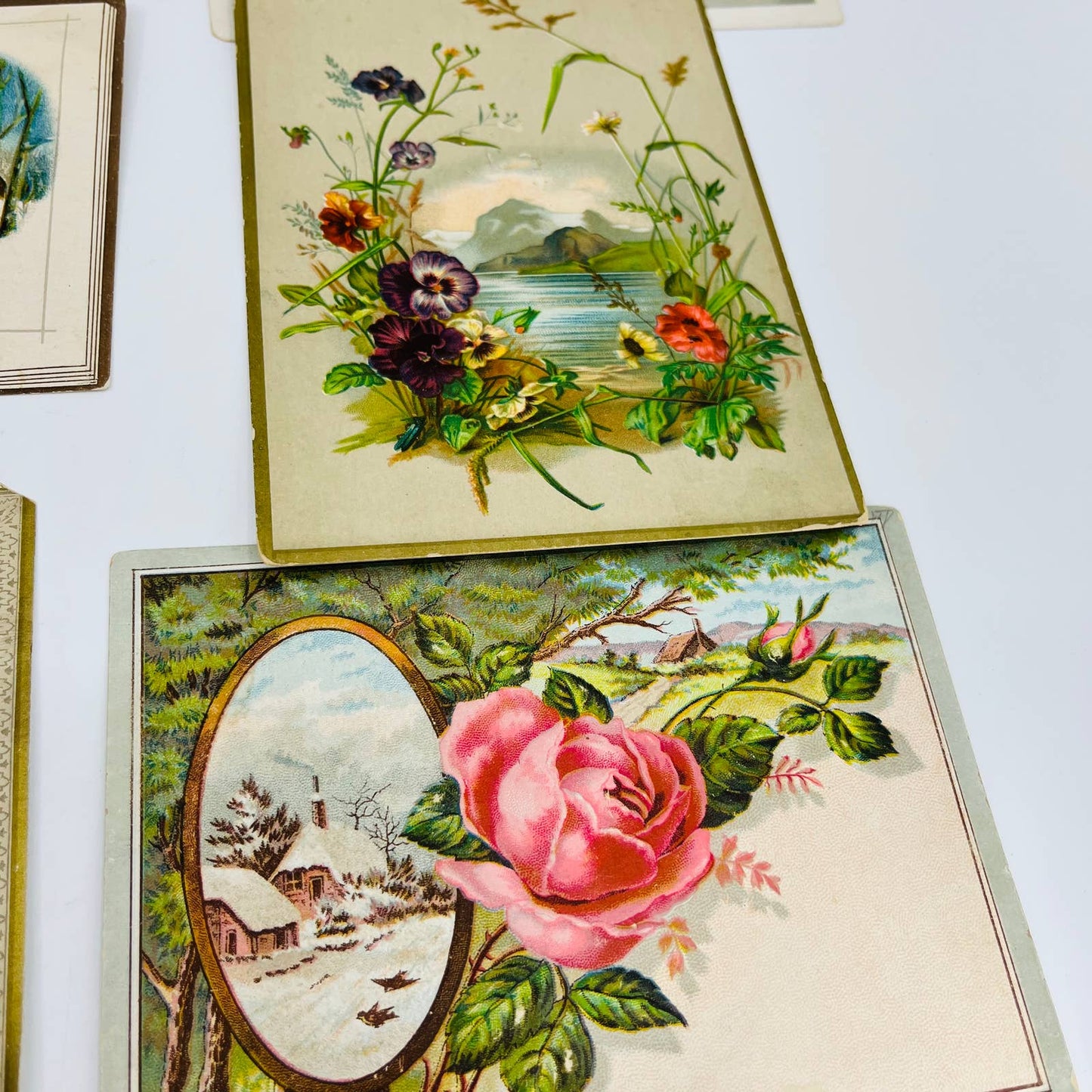 1880s Victorian Embossed Card Scrap Set of 8 Flowers Roses 6” EA2