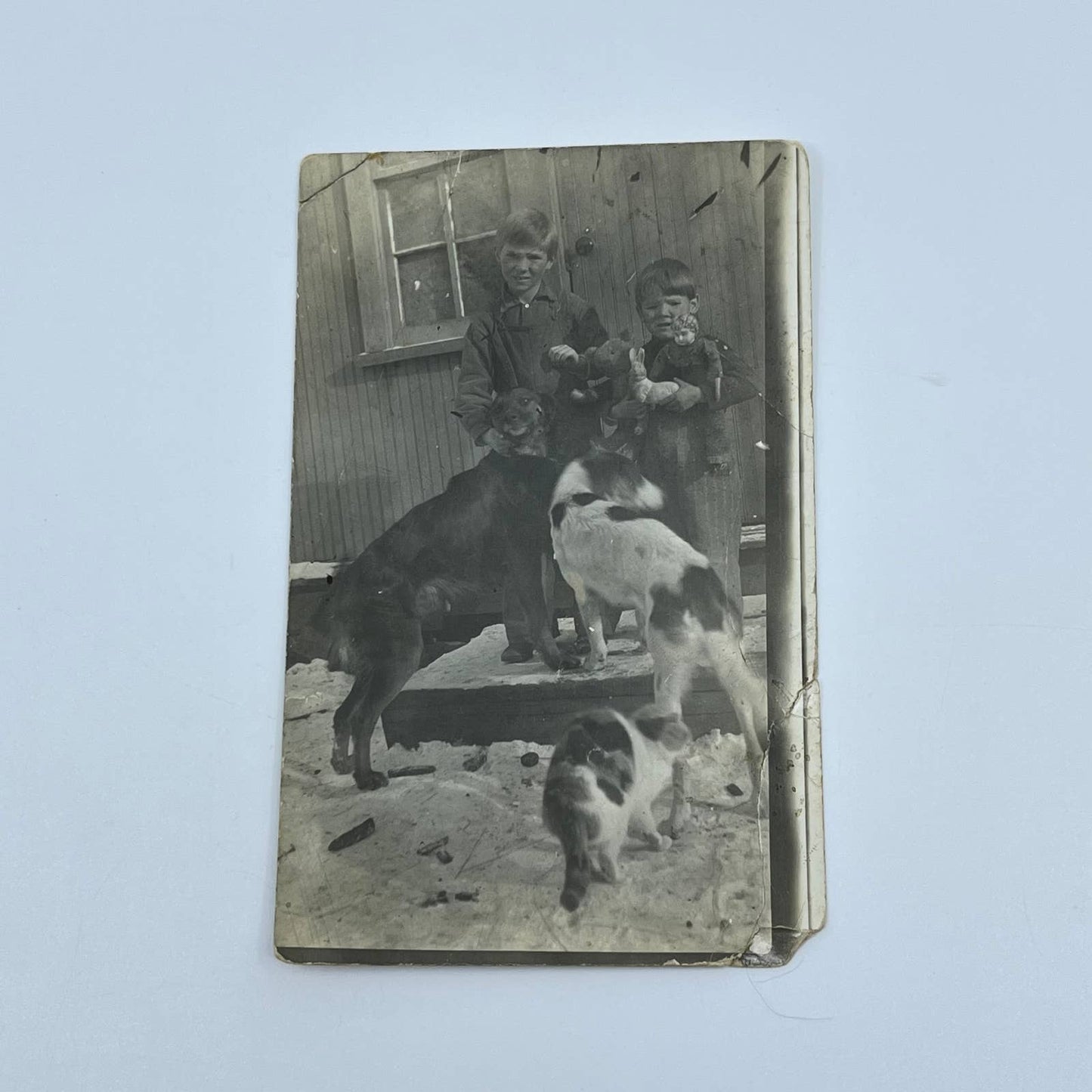 c1910 RPPC Real Photo Postcard Boys w/ Dogs Cat and Toys SC9