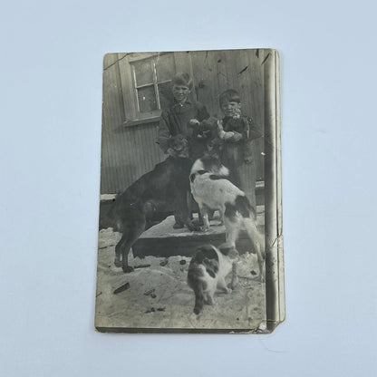 c1910 RPPC Real Photo Postcard Boys w/ Dogs Cat and Toys SC9