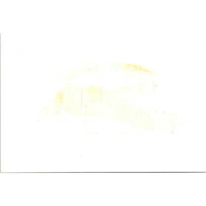 1965 Conference Nils A. Boe, Juan Felipe Yriart Douglas Yriart Photo 5x7 TK1-P4