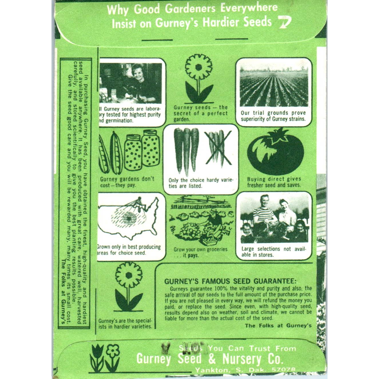 Vintage UNOPENED Seed Packet Gurney Seeds Pennisetum Ruppelii Fountain Grass SE5